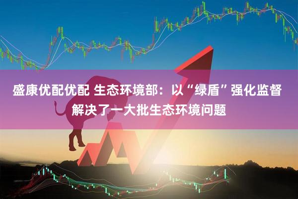 盛康优配优配 生态环境部：以“绿盾”强化监督 解决了一大批生态环境问题